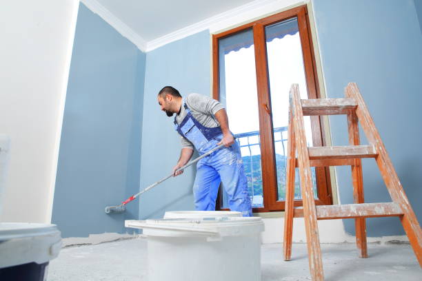 Best Mold Removal for HVAC Installations  in Arvada, CO