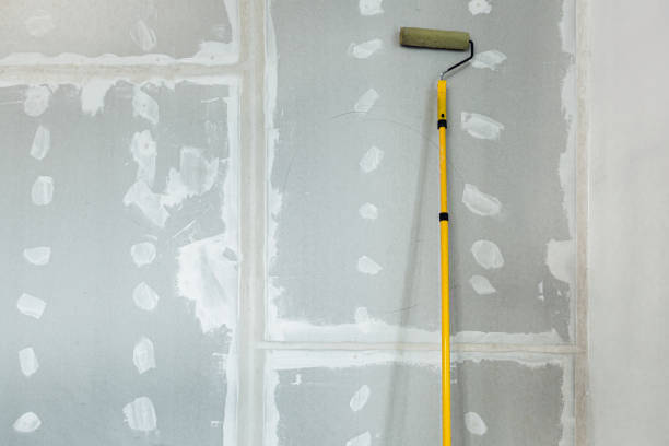 Biohazard Mold Removal in Arvada, CO