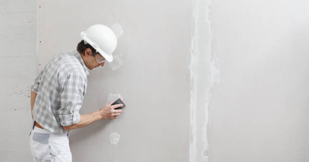 Best Post-Remediation Verification Testing  in Arvada, CO