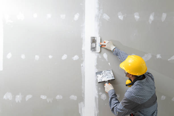 Best Industrial Mold Remediation  in Arvada, CO
