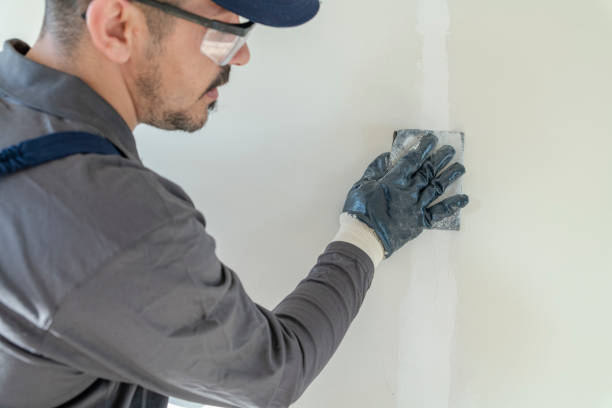 Best Dehumidification Services  in Arvada, CO