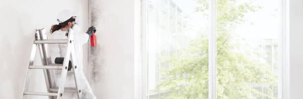 Best Residential Mold Inspection & Testing  in Arvada, CO