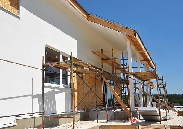 Trusted Arvada, CO Mold Removal Experts