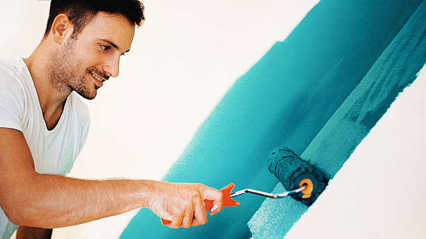 Best Environmental Consulting for Mold Prevention  in Arvada, CO