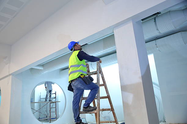 Best Black Mold Removal  in Arvada, CO
