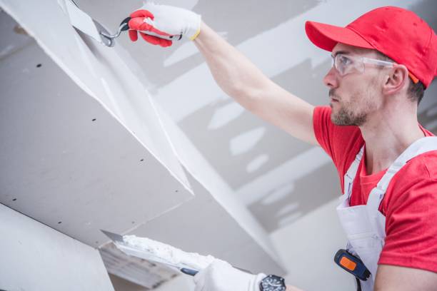 Best Real Estate Mold Inspection  in Arvada, CO